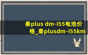 秦plus dm-i55电池价格_秦plusdm-i55km电池价格